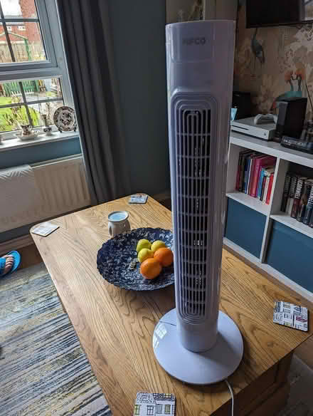 Photo of free Tall electric fan (DY5) #2
