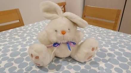 Photo of free Soft Toy Rabbit (Broadwater BN14) #1