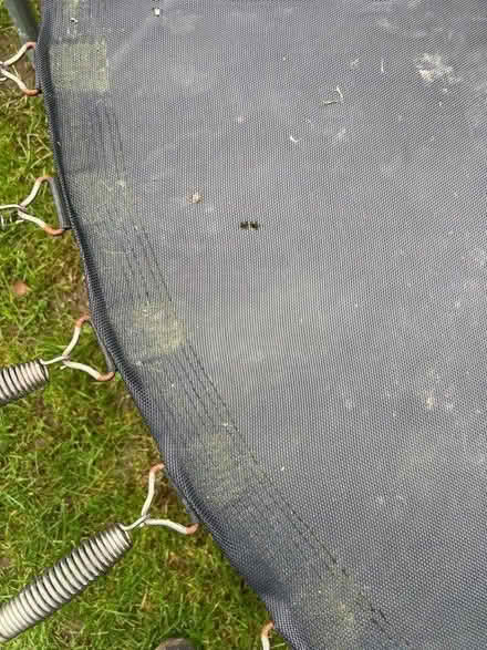 Photo of free Trampoline (Westcliff SS0) #3