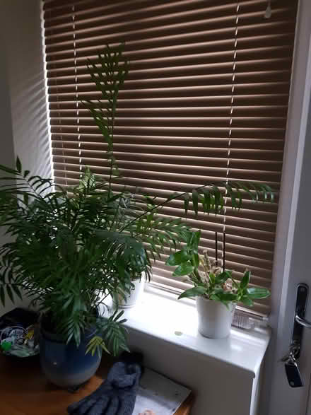 Photo of free 2 Venetian blinds (ME14) #1