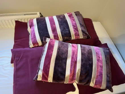Photo of free 6x Scatter Cushions (Welwyn AL7) #2