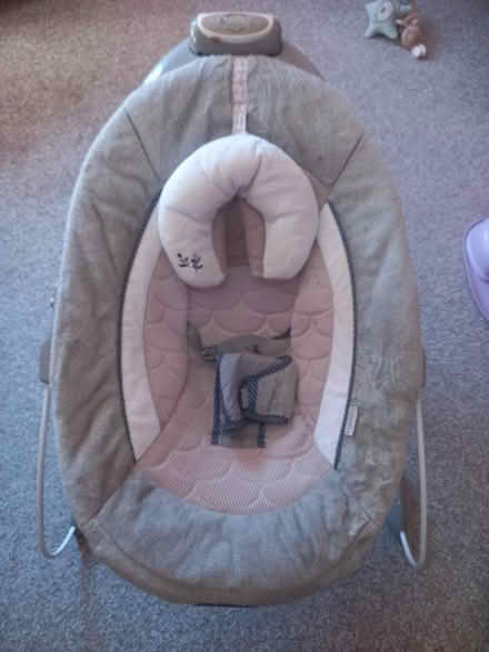 Photo of free Ingenuity Automatic Baby Bouncer (DE1) #1
