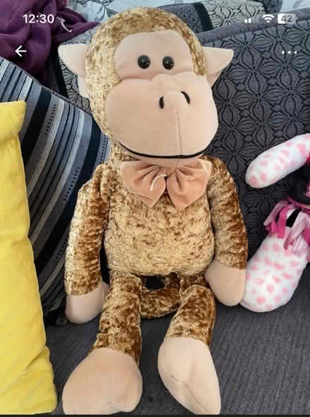 Photo of free Cuddly toys (PO19) #1