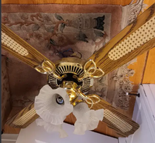 Photo of free ceiling fan (burlington) #1