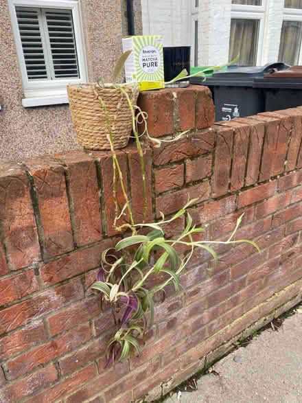 Photo of free Bits and bobs (SE25) #3