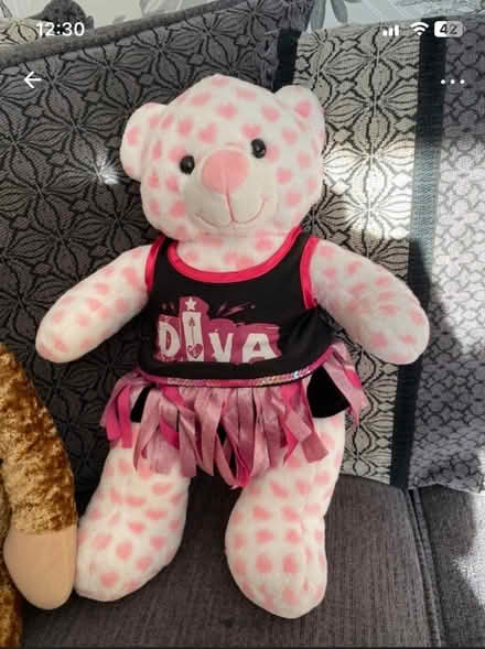 Photo of free Cuddly toys (PO19) #2