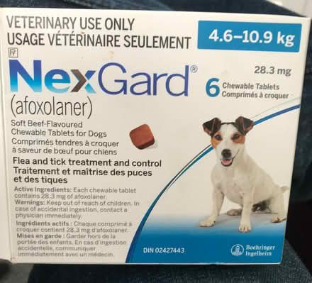Photo of free Flea & Tick Treatment For Dogs (Findlay Creek) #1