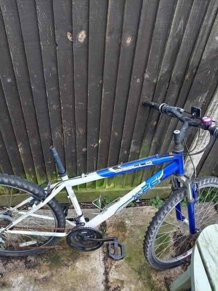 Photo of free Mountain bike (Winnersh) #3