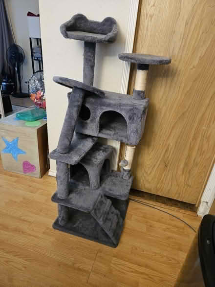 Photo of free Cat tree (Camano island Lost Lake area) #1