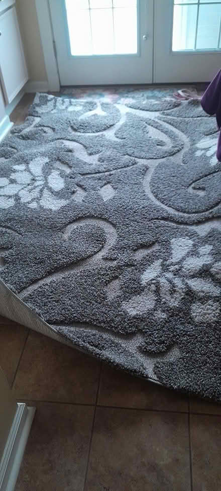 Photo of free Area rug (Amber meadows 21702) #1