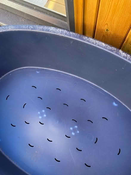 Photo of free Plastic dog bed (Bramcote) #3