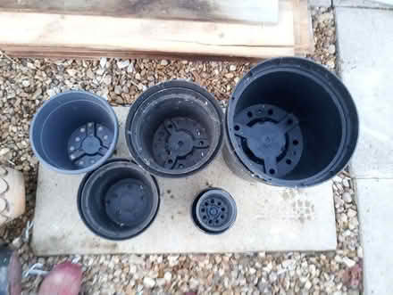 Photo of free various plant pots and pot stands (Folksworth, Peterborough) #4