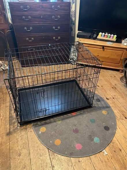 Photo of free North Common area Collapsible dog cage (The Batch) #2