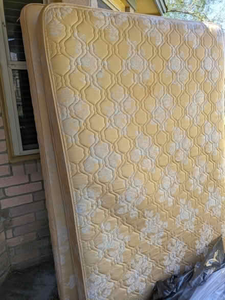 Photo of free Full size mattress and box spring (77539) #1