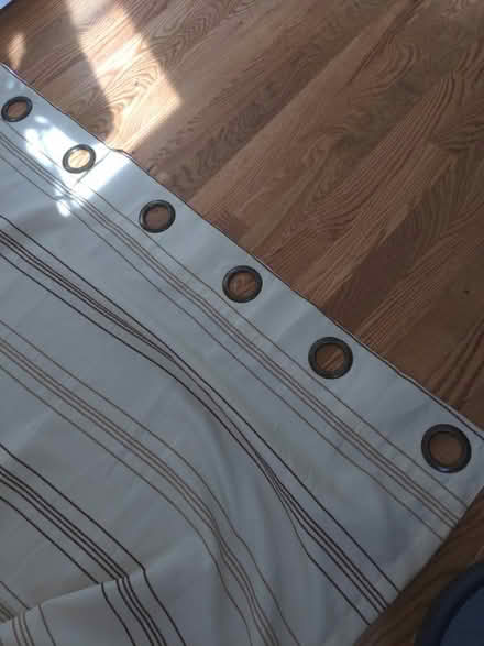 Photo of free Four curtains, two curtain rods (West Main Hill) #2