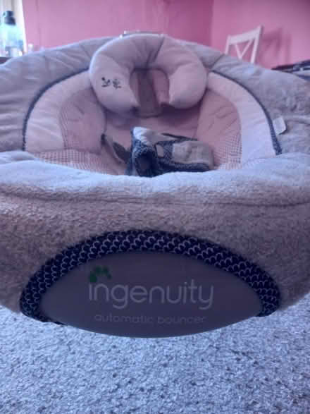 Photo of free Ingenuity Automatic Baby Bouncer (DE1) #2