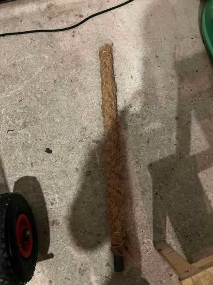 Photo of free Cheese Plant Support & Pins (Appleby-in-Westmorland CA16) #1