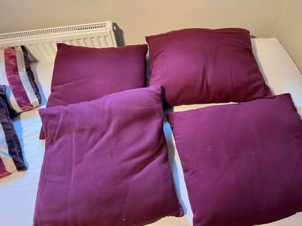 Photo of free 6x Scatter Cushions (Welwyn AL7) #3