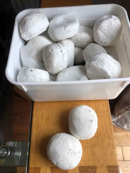 Photo of free Gas fire decorative pebbles. (Woolton L19) #1