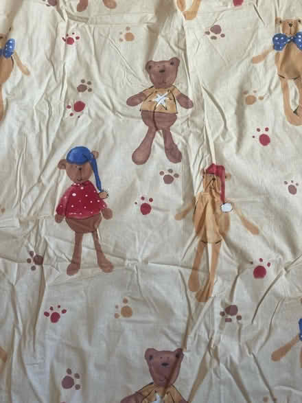 Photo of free Large piece of teddy bear material (L18) #2