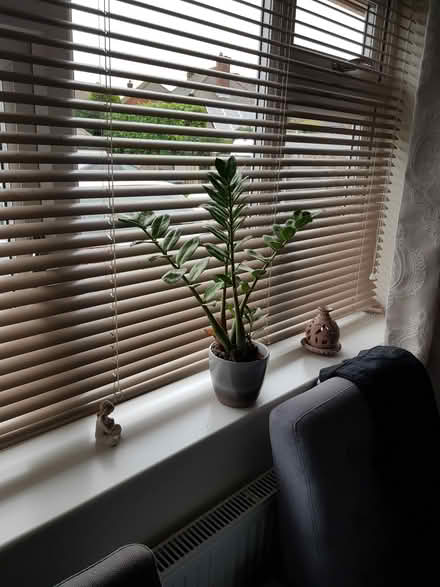 Photo of free 2 Venetian blinds (ME14) #2