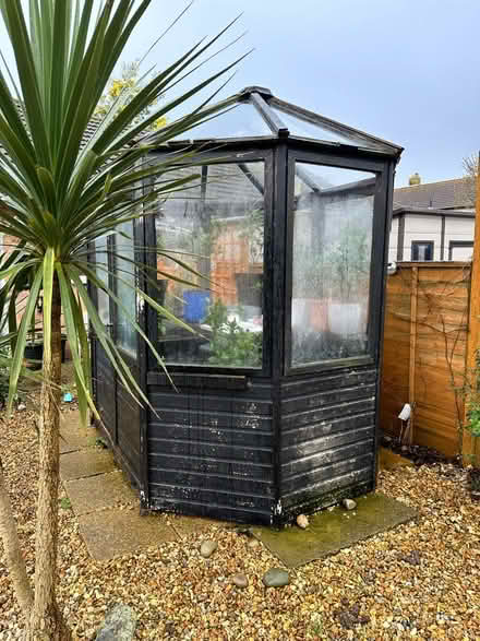 Photo of free Wooden greenhouse (Porchester) #2