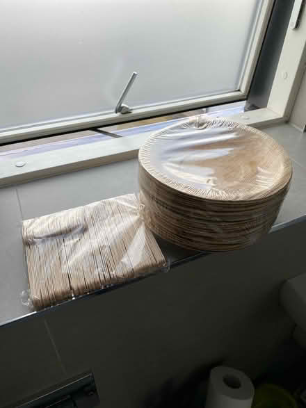 Photo of free Bamboo plates and forks x 60 (Gipsy hill) #1