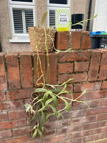 Photo of free Bits and bobs (SE25) #1