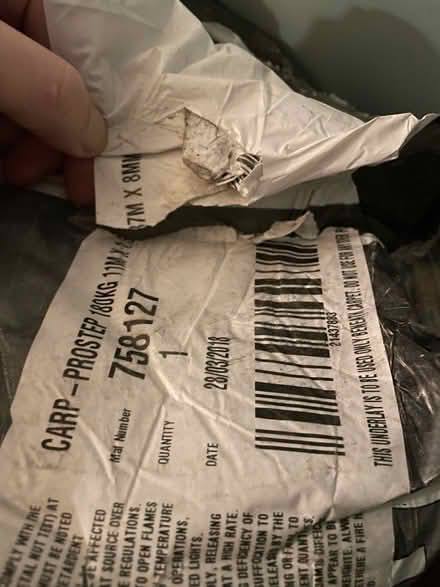 Photo of free New underlay and seagrass carpet (Bensham) #3