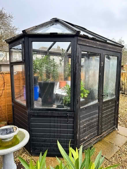 Photo of free Wooden greenhouse (Porchester) #3