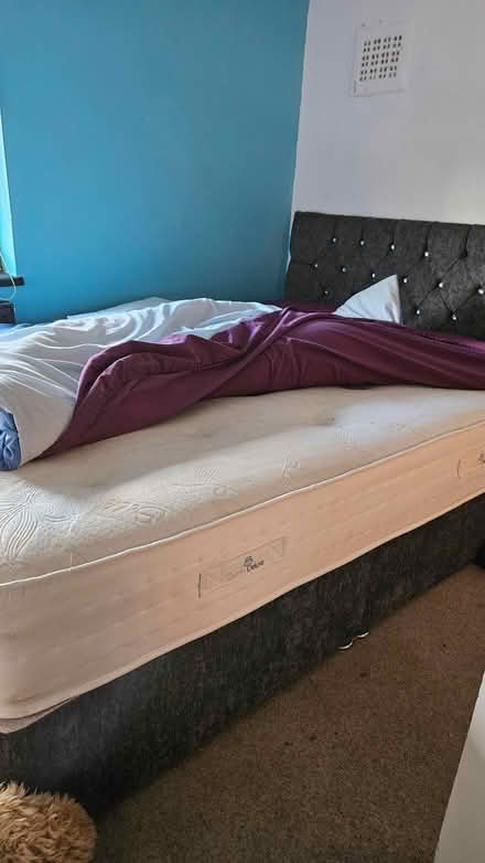 Photo of free Double bed (Mendham IP20) #3