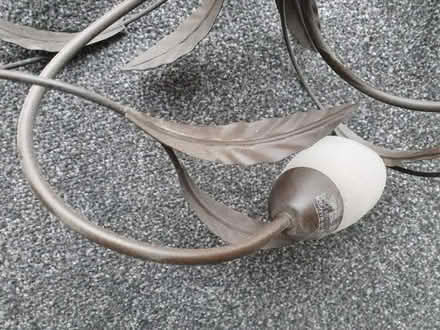 Photo of free Leaf design ceiling light (East Winch PE32) #2