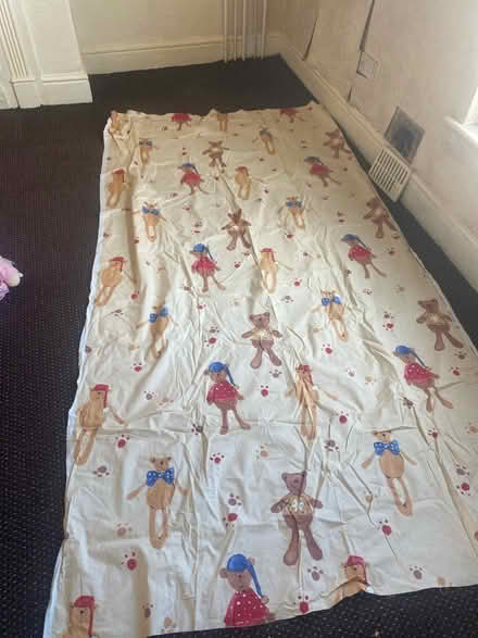 Photo of free Large piece of teddy bear material (L18) #1