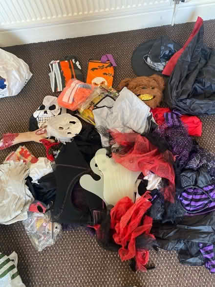 Photo of free Halloween costumes & various (L18) #1