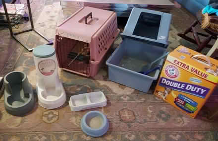 Photo of free Complete Kitty Cat Kit π (Downingtown, pa) #1