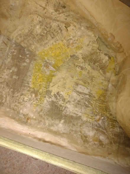 Photo of free Old trunk (Lordswood Chatham) #2