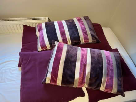 Photo of free 6x Scatter Cushions (Welwyn AL7) #1