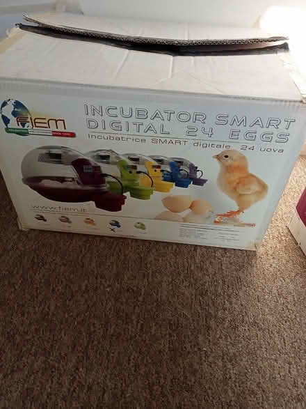 Photo of free Incubator (Shrewsbury monkmoor by) #1