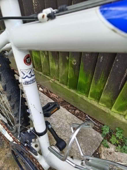 Photo of free Mountain bike (Winnersh) #1
