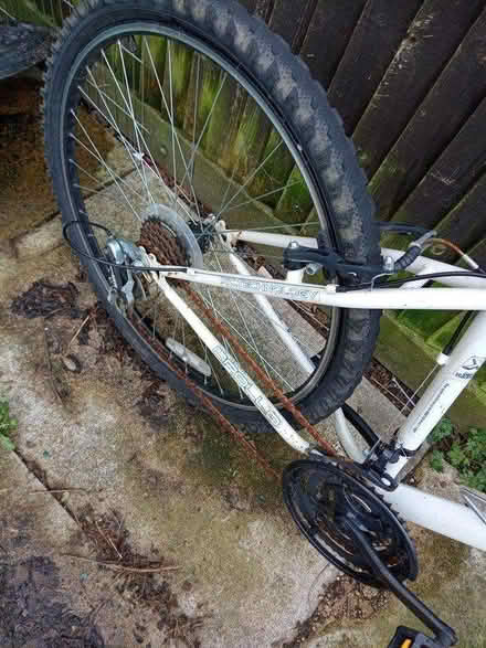 Photo of free Mountain bike (Winnersh) #4