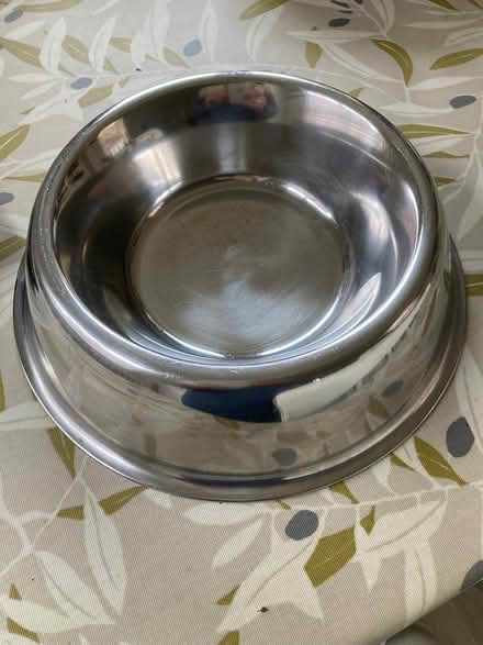 Photo of free Dog bowl (Teddington TW11) #1