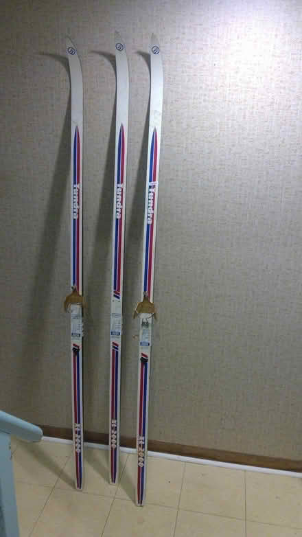 Photo of free Cross-country skis (Queensway Terrace North) #1