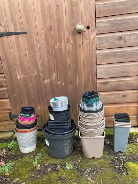 Photo of free Plant pots (Teddington TW11) #1