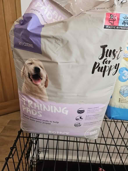 Photo of free Puppy training pads (ST2) #2