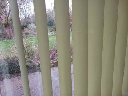 Photo of free Vertical window blind (Clavering CB11) #1