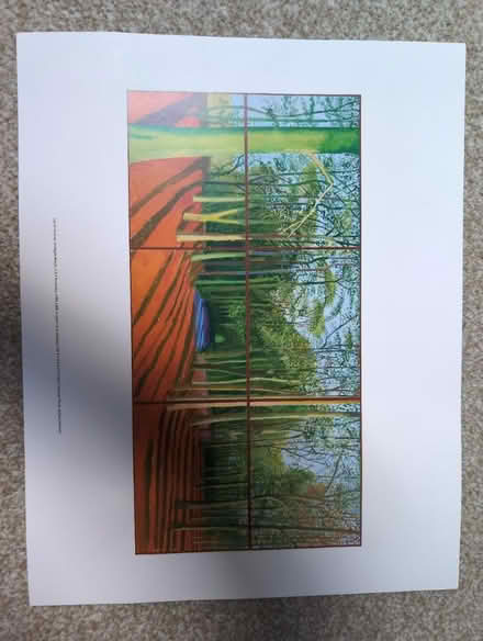 Photo of free David Hockney print (Nether Edge, S7) #1