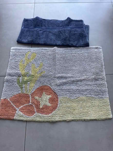 Photo of free Bathmat and bath towel (Twickenham TW2) #1