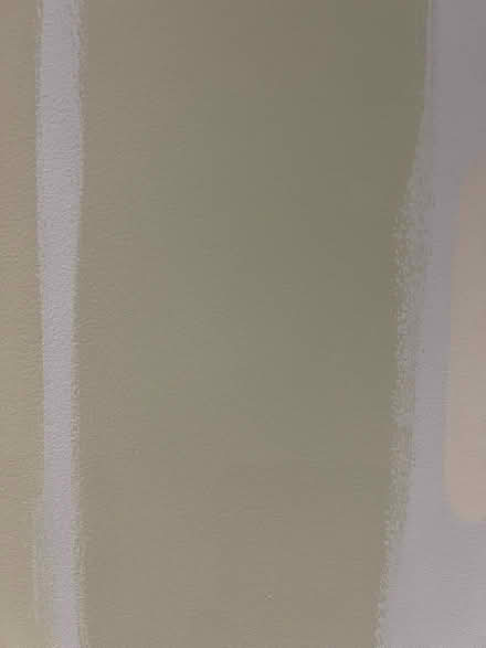 Photo of free 7.5l of green paint (Gosforth NE3) #1