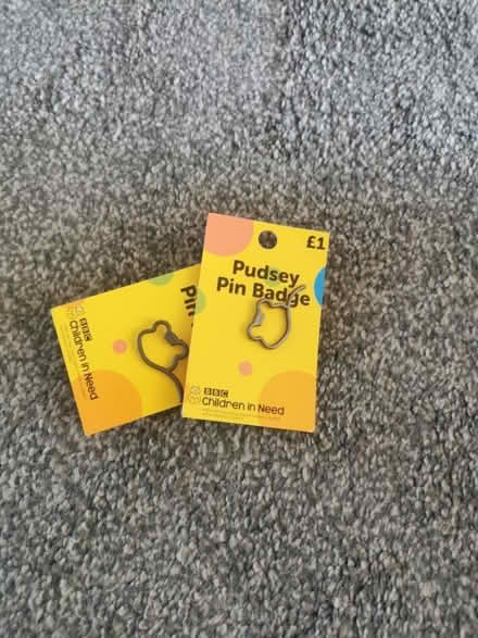 Photo of free Pudsey pin badge (Stanwell TW19) #1