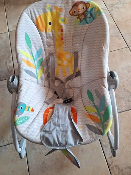 Photo of free Baby bouncer (High Green) #1